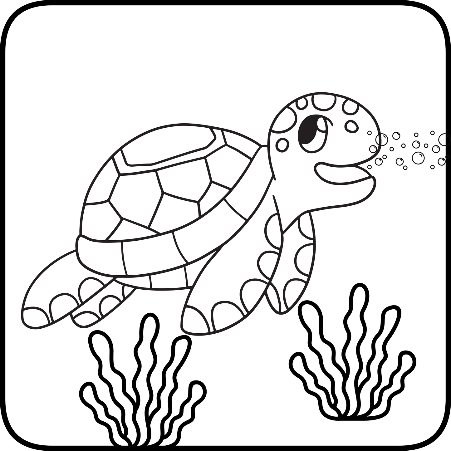 Marine Animals PDF Book - 24 Pages Ocean Fun, Animal Coloring Book, Aquatic Animal Book, Marine Life Book to Color, Fun Under the Sea